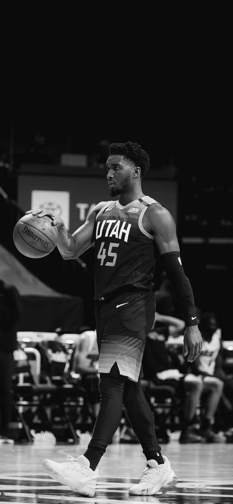 成为标签调 成为标签调