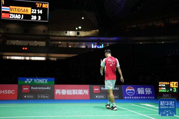 的两条大龙 的两条大龙